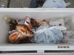 190623-2.jpg