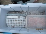 190623-5.jpg