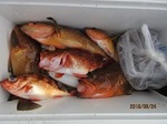 190624-4.jpg