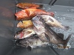 190624-5.jpg