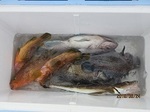190624-6.jpg