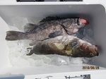 190626-5.jpg