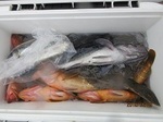 190629-2.jpg