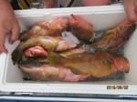 190802-2.jpg