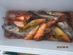 190802-3.jpg