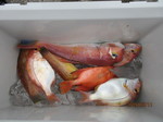 190811-5.jpg