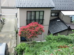 190817-1.jpg