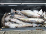 190821-2.jpg