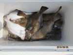 190825-5.jpg
