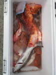 190831-2.jpg