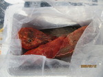 200212-4.jpg