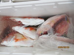 200219-1.jpg