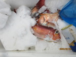 200219-2.jpg