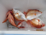 200219-3.jpg