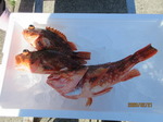 200221-1.jpg