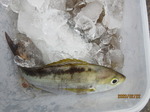 200222-2.jpg