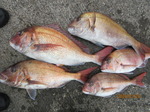 200226-1.jpg