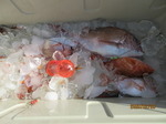 200229-3.jpg