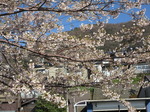 200407-2.jpg