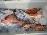 200408-1.jpg