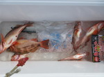 200412-2.jpg