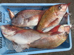 200415-3.jpg