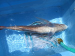 200602-4.jpg