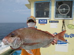 200603-2.jpg