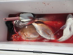 200604-6.jpg