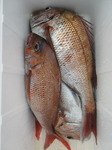 200605-4.jpg