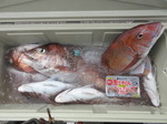 200607-11.jpg