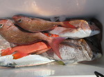 200610-6.jpg