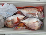 200611-3.jpg