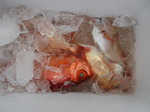 200613-4.jpg