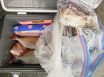 200614-2.jpg