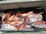 200617-3.jpg