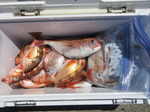 200617-4.jpg