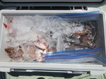 200617-7.jpg