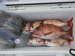 200619-1.jpg