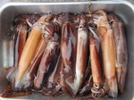 200619-3.jpg