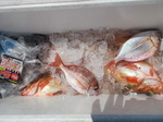 200621-2.jpg