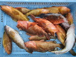 200624-5.jpg