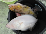 200625-2.jpg