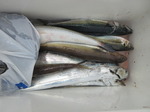 200628-3.jpg
