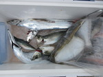 200628-6.jpg