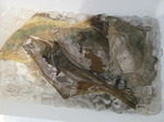200629-2.jpg