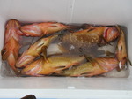 200630-4.jpg