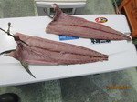 200803-4.jpg