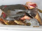 200804-3.jpg