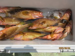 200804-4.jpg